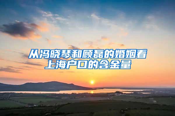 从冯晓琴和顾磊的婚姻看上海户口的含金量