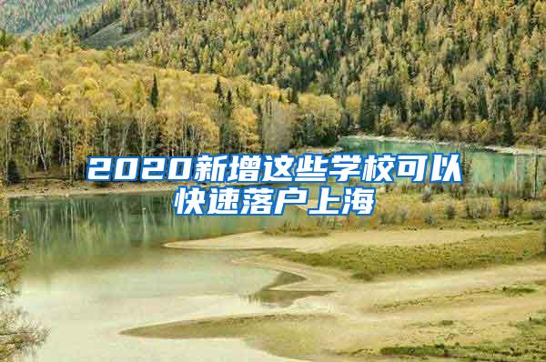 2020新增这些学校可以快速落户上海