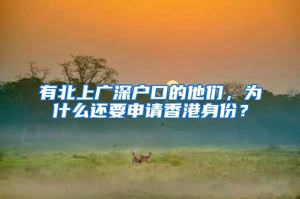 有北上广深户口的他们，为什么还要申请香港身份？