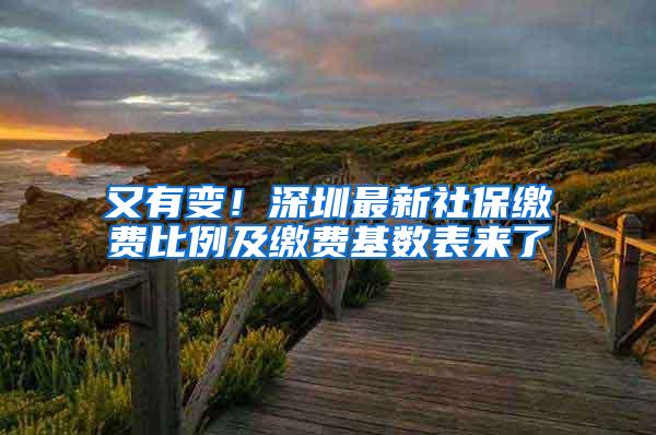 又有变！深圳最新社保缴费比例及缴费基数表来了