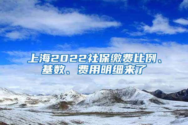 上海2022社保缴费比例、基数、费用明细来了