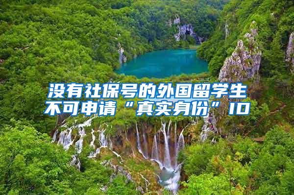 没有社保号的外国留学生不可申请“真实身份”ID