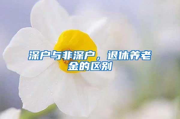 深户与非深户，退休养老金的区别