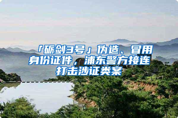 「砺剑3号」伪造、冒用身份证件，浦东警方接连打击涉证类案