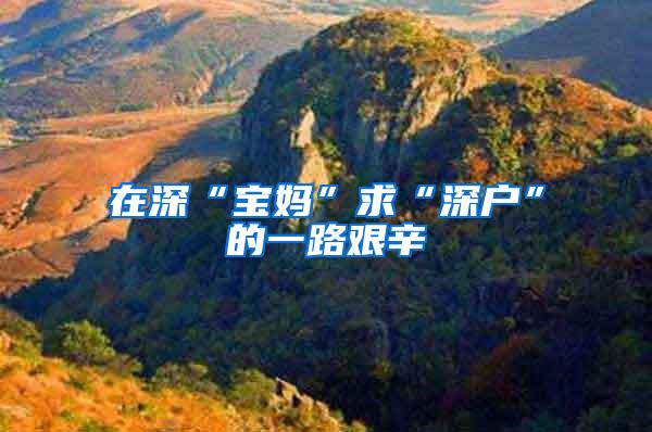 在深“宝妈”求“深户”的一路艰辛