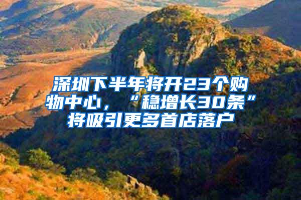 深圳下半年将开23个购物中心，“稳增长30条”将吸引更多首店落户