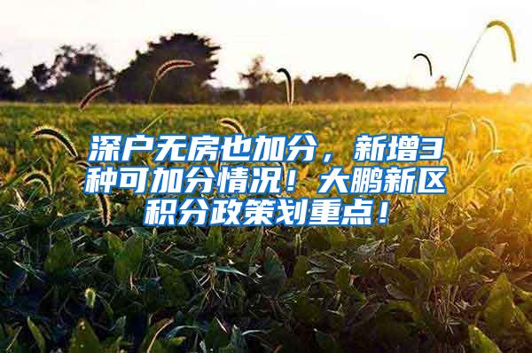 深户无房也加分，新增3种可加分情况！大鹏新区积分政策划重点！