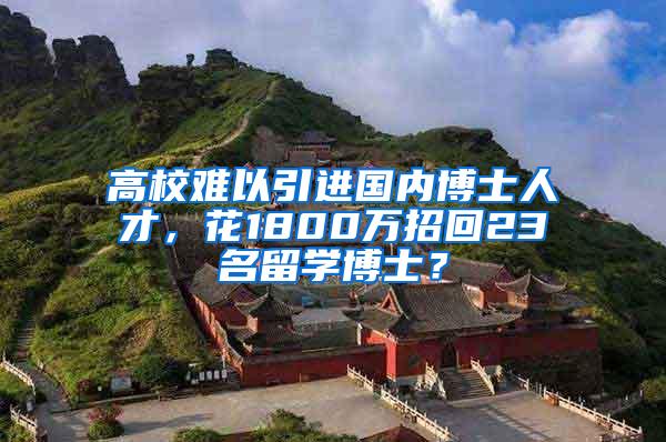 高校难以引进国内博士人才，花1800万招回23名留学博士？