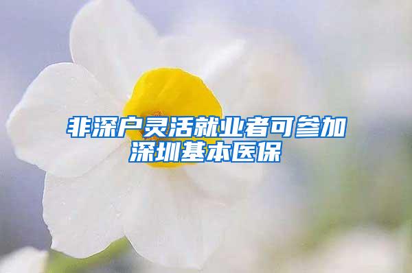 非深户灵活就业者可参加深圳基本医保