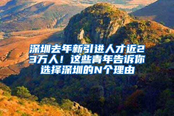 深圳去年新引进人才近23万人！这些青年告诉你选择深圳的N个理由