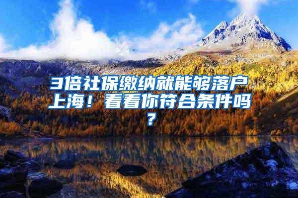 3倍社保缴纳就能够落户上海！看看你符合条件吗？