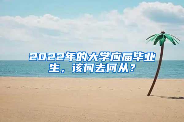 2022年的大学应届毕业生，该何去何从？