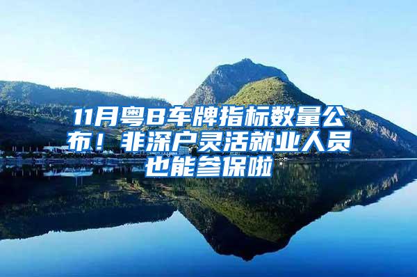 11月粤B车牌指标数量公布！非深户灵活就业人员也能参保啦