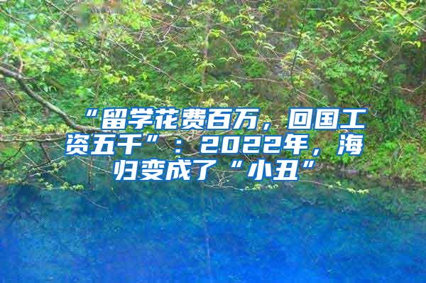 “留学花费百万，回国工资五千”：2022年，海归变成了“小丑”