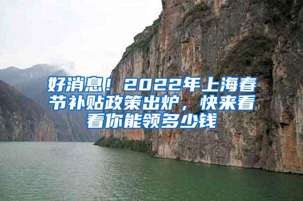 好消息！2022年上海春节补贴政策出炉，快来看看你能领多少钱