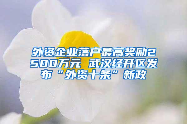 外资企业落户最高奖励2500万元 武汉经开区发布“外资十条”新政