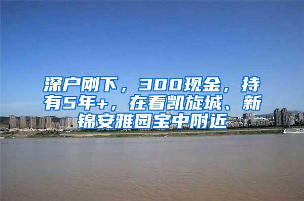 深户刚下，300现金，持有5年+，在看凯旋城、新锦安雅园宝中附近