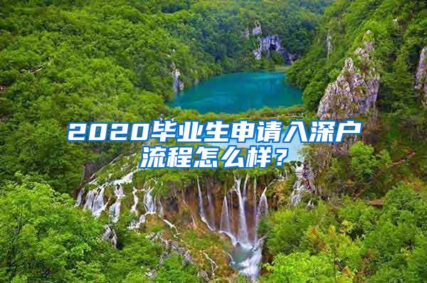 2020毕业生申请入深户流程怎么样？