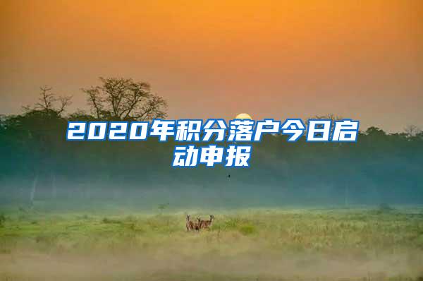 2020年积分落户今日启动申报