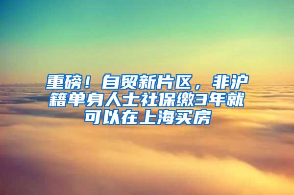 重磅！自贸新片区，非沪籍单身人士社保缴3年就可以在上海买房