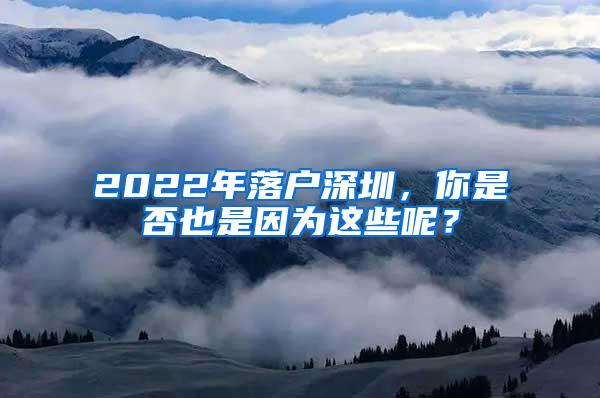 2022年落户深圳，你是否也是因为这些呢？