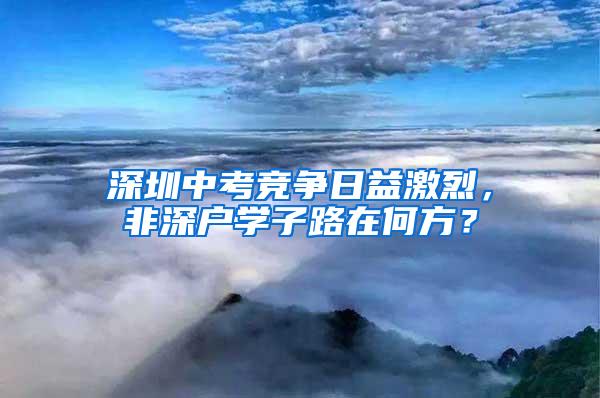 深圳中考竞争日益激烈，非深户学子路在何方？