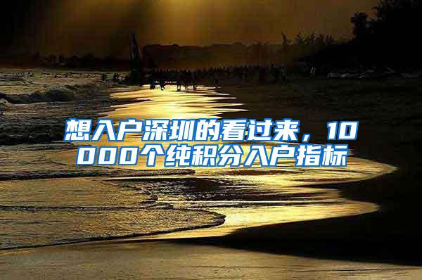 想入户深圳的看过来，10000个纯积分入户指标