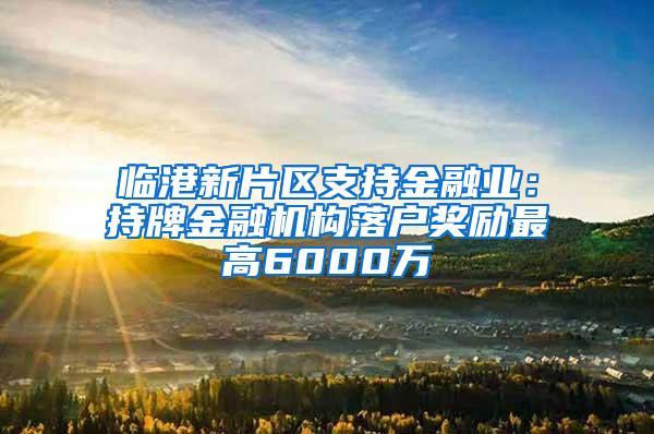 临港新片区支持金融业：持牌金融机构落户奖励最高6000万