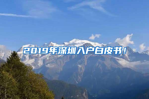 2019年深圳入户白皮书！