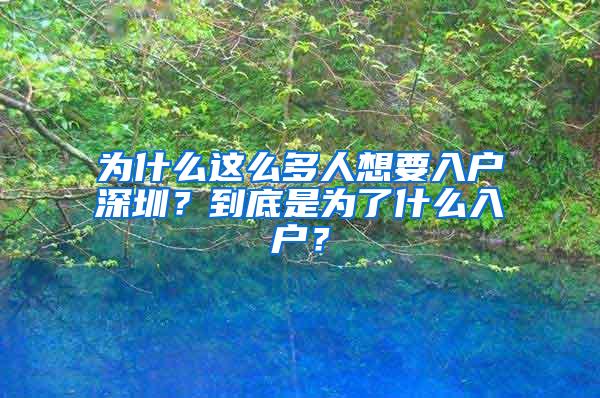 为什么这么多人想要入户深圳？到底是为了什么入户？