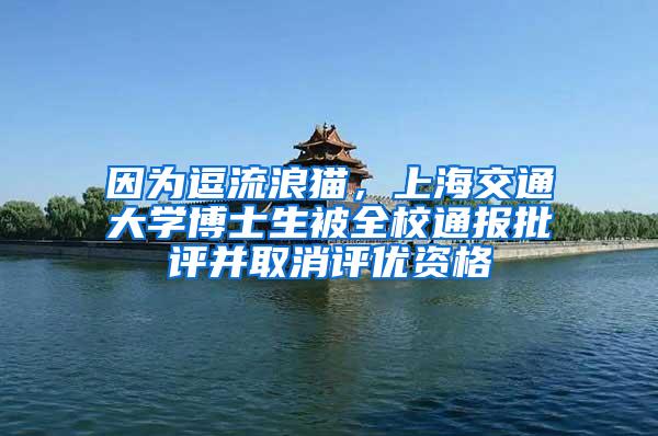 因为逗流浪猫，上海交通大学博士生被全校通报批评并取消评优资格