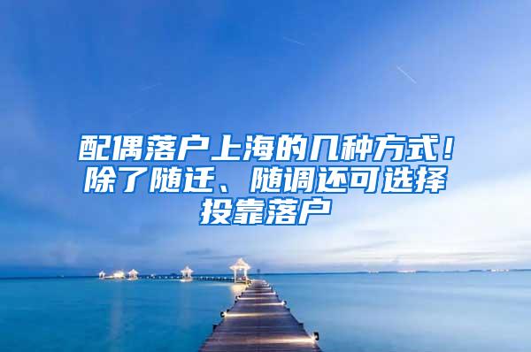 配偶落户上海的几种方式！除了随迁、随调还可选择投靠落户