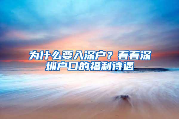 为什么要入深户？看看深圳户口的福利待遇