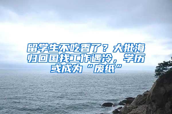 留学生不吃香了？大批海归回国找工作遇冷，学历或成为“废纸”