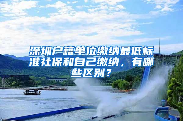 深圳户籍单位缴纳最低标准社保和自己缴纳，有哪些区别？