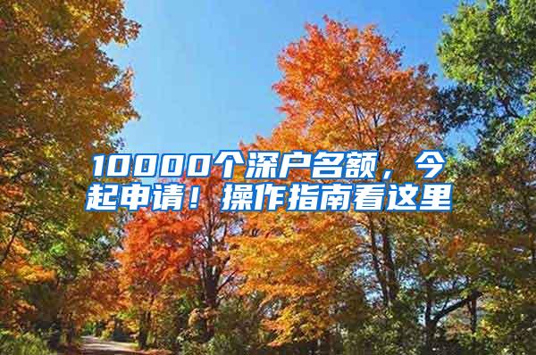 10000个深户名额，今起申请！操作指南看这里