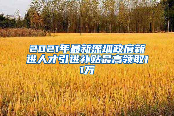 2021年最新深圳政府新进人才引进补贴最高领取11万