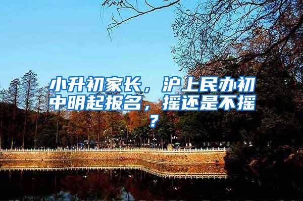 小升初家长，沪上民办初中明起报名，摇还是不摇？