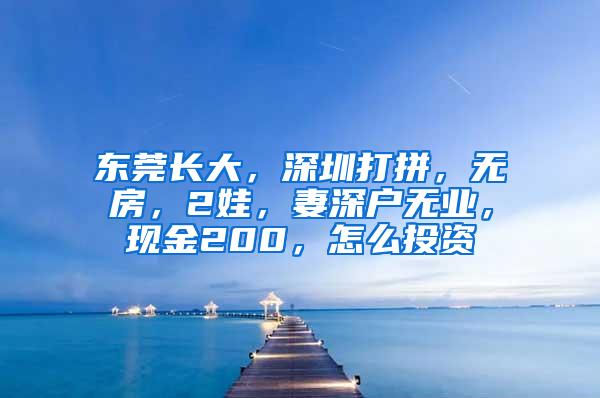 东莞长大，深圳打拼，无房，2娃，妻深户无业，现金200，怎么投资