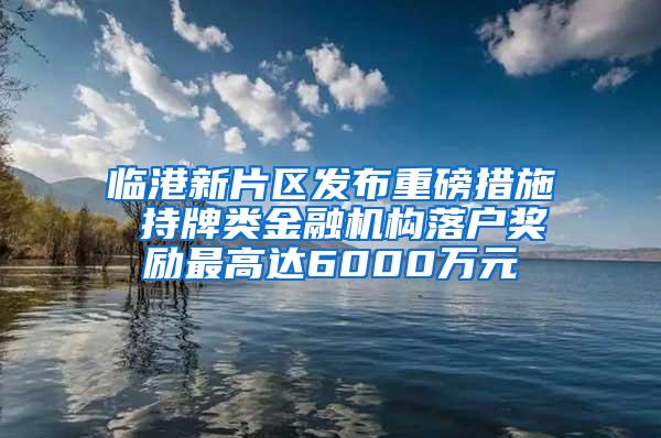 临港新片区发布重磅措施 持牌类金融机构落户奖励最高达6000万元