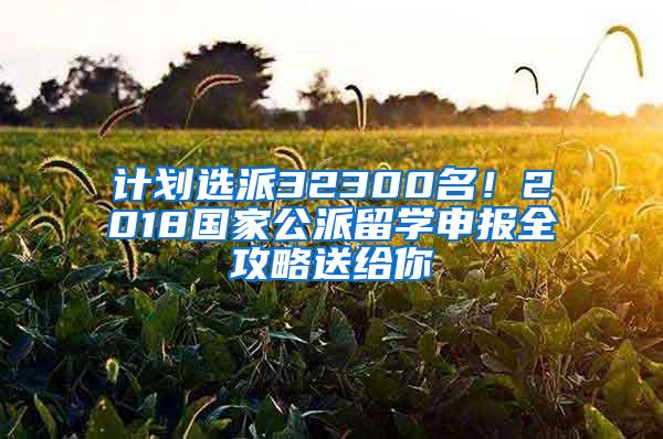 计划选派32300名！2018国家公派留学申报全攻略送给你