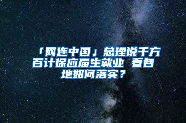 「网连中国」总理说千方百计保应届生就业 看各地如何落实？