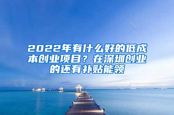 2022年有什么好的低成本创业项目？在深圳创业的还有补贴能领