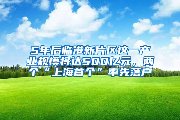 5年后临港新片区这一产业规模将达500亿元，两个“上海首个”率先落户