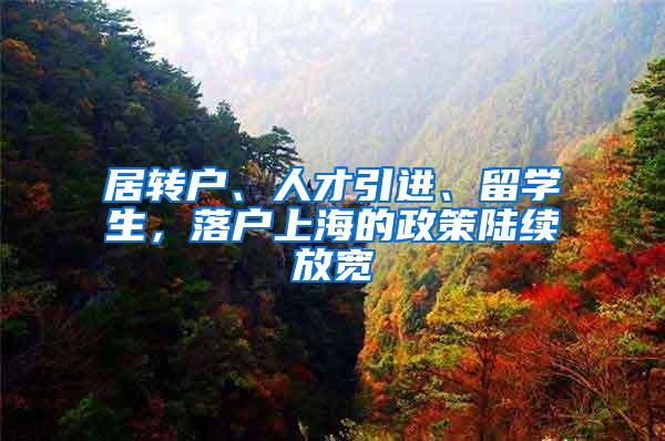 居转户、人才引进、留学生，落户上海的政策陆续放宽