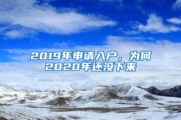 2019年申请入户，为何2020年还没下来