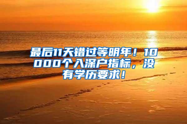 最后11天错过等明年！10000个入深户指标，没有学历要求！