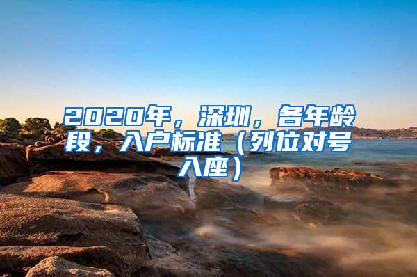 2020年，深圳，各年龄段，入户标准（列位对号入座）