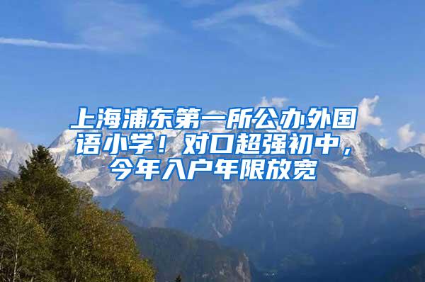 上海浦东第一所公办外国语小学！对口超强初中，今年入户年限放宽