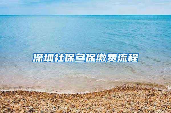 深圳社保参保缴费流程